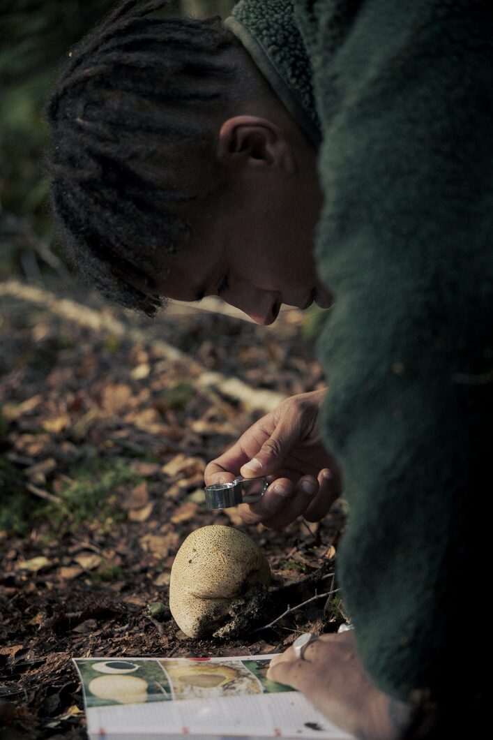 ELLIKER - Mushroom Identification - Identification